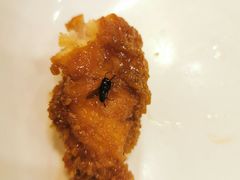 -SUN炸鸡专门店(西塔总店)