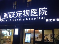 -派联宠物医院·24h·CT·异宠