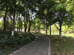 -尚贤河湿地
