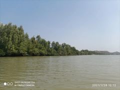 -大亚湾红树林城市湿地公园