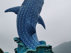 -珠海长隆海洋王国