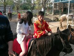 骑马-西安秦岭野生动物园