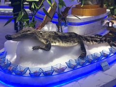 -澜悦港海鲜体验主题餐厅