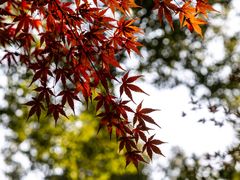 -东湖听涛景区