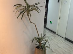 -牙博士口腔品牌连锁(昆山城区店)