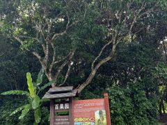 -中国科学院西双版纳热带植物园