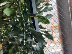 -盐帮食坊•小河帮川菜(四川师大店)