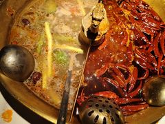 -小龙翻大江文化火锅(宽窄店)