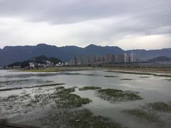 -北岐滩涂