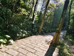 -水濂山森林公园