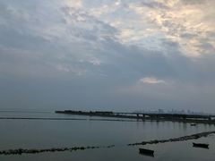 -合肥滨湖国家森林公园