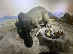 -国家自然博物馆