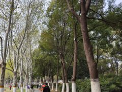 -天鹅湖体育公园