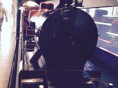 -墨尔本博物馆(Melbourne Museum)