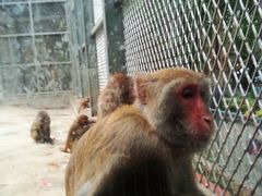 -广东茂名森林公园