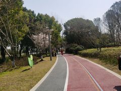 -澹台湖公园