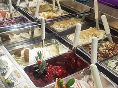 -Gelateria Dondoli