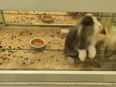 -龙猫仔乐园(惠福东路店)