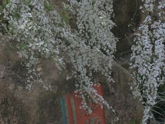 -中国茶叶博物馆(双峰馆区)