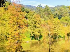 -火炉山森林公园