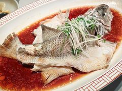 -峨嵋酒家(牡丹园店)