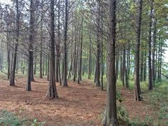 -艾溪湖湿地公园