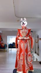 -圣柏莎高端婚纱会所