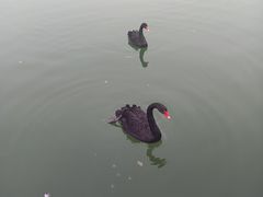 -河北省园博园