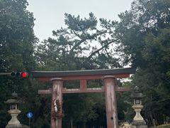 -奈良公园
