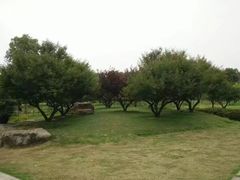 -秀丽东方