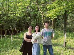 -铁山坪森林公园