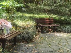 -杭州植物园