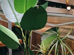 -湊湊火锅·茶憩(皇姑万象汇店)