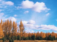 -塞罕坝国家级自然保护区