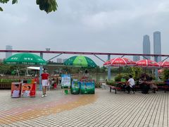 -凤岭儿童公园