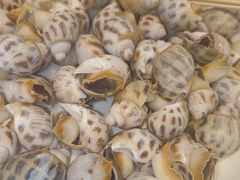 -九號渔港·蒸汽海鲜·粤菜茶点(八卦岭店)
