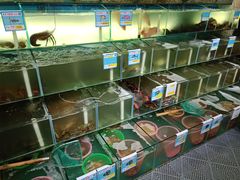 水产区-琼大师东方烤乳猪(亚特兰蒂斯店)