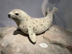 -中国湿地博物馆