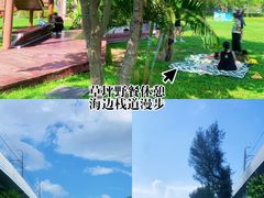 -宝安西湾红树林湿地公园