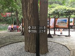 -双清别墅