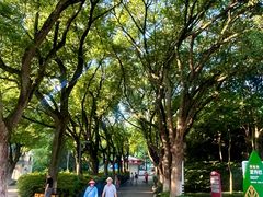 -赭山公园