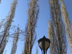 -中国建设银行哈尔滨培训中心