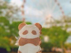 -顾村公园
