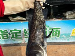 -好灶头妈妈菜·千岛湖土菜地标美食