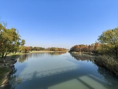 -贡湖湾湿地公园