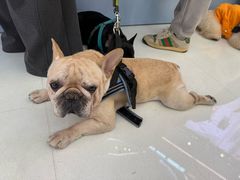 -义乌之心城市生活广场