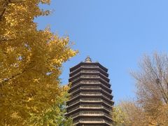 -玲珑塔公园