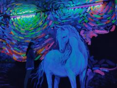 -深圳独角兽星空艺术馆