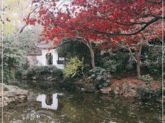 -秋霞圃