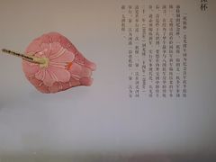 -山东博物馆